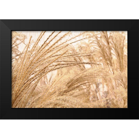 Blowing Grass II Black Modern Wood Framed Art Print by Styber, Dana