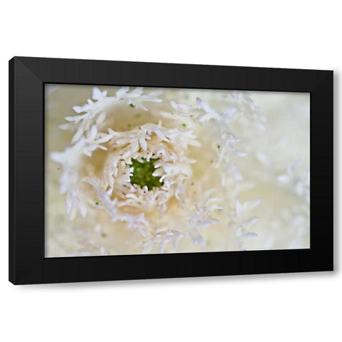 Green Ornamental I Black Modern Wood Framed Art Print by Styber, Dana