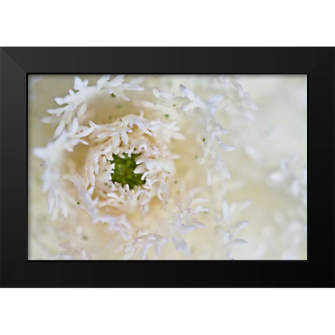 Green Ornamental I Black Modern Wood Framed Art Print by Styber, Dana