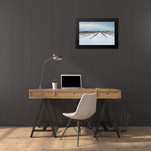Berries Under Snow I Black Modern Wood Framed Art Print by Styber, Dana