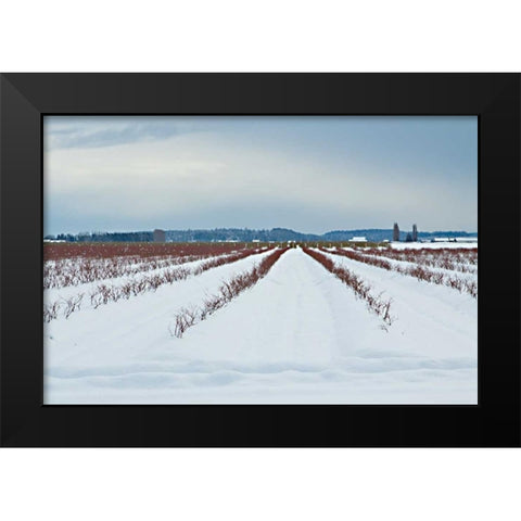 Berries Under Snow I Black Modern Wood Framed Art Print by Styber, Dana