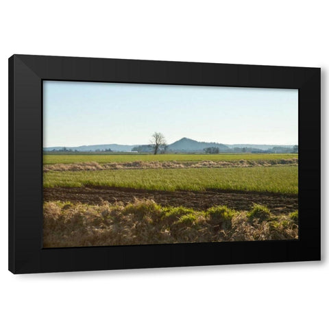 Golden Greens Black Modern Wood Framed Art Print with Double Matting by Styber, Dana