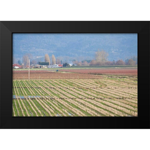 Red and Gold Fields I Black Modern Wood Framed Art Print by Styber, Dana