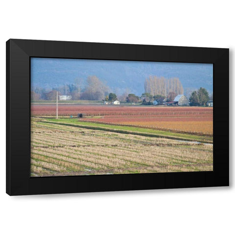 Red and Gold Fields II Black Modern Wood Framed Art Print with Double Matting by Styber, Dana