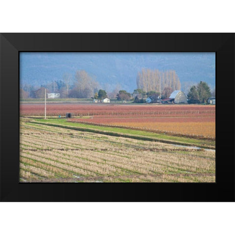 Red and Gold Fields II Black Modern Wood Framed Art Print by Styber, Dana