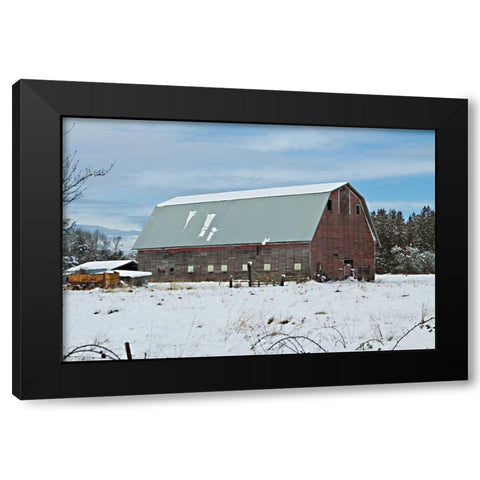 Red Barn in Winter Black Modern Wood Framed Art Print with Double Matting by Styber, Dana
