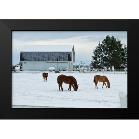 Grazing the Snow Black Modern Wood Framed Art Print by Styber, Dana