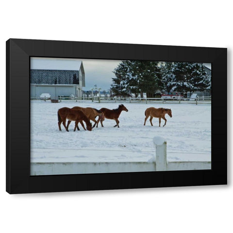Feeling Spunky Black Modern Wood Framed Art Print by Styber, Dana