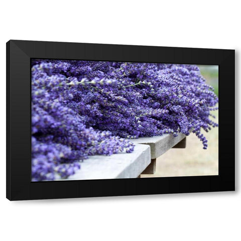 Lavender Harvest I Black Modern Wood Framed Art Print by Styber, Dana