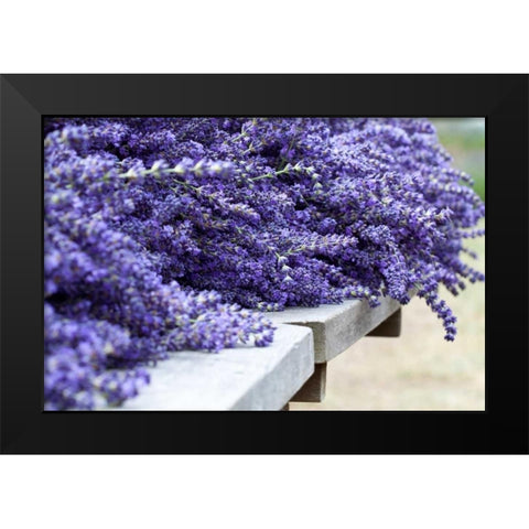Lavender Harvest I Black Modern Wood Framed Art Print by Styber, Dana