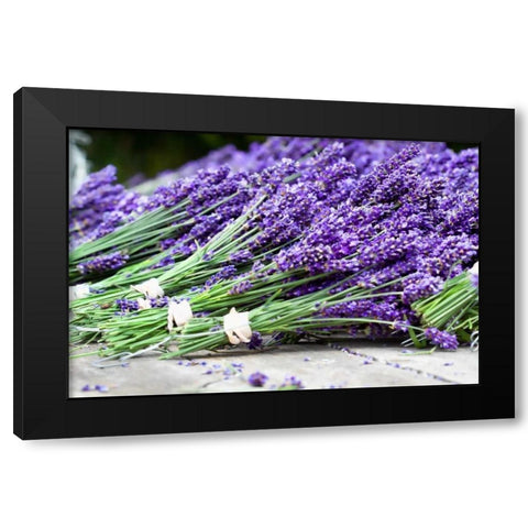 Lavender Harvest II Black Modern Wood Framed Art Print with Double Matting by Styber, Dana