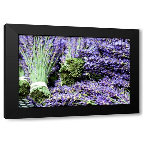 Lavender Bunches I Black Modern Wood Framed Art Print with Double Matting by Styber, Dana