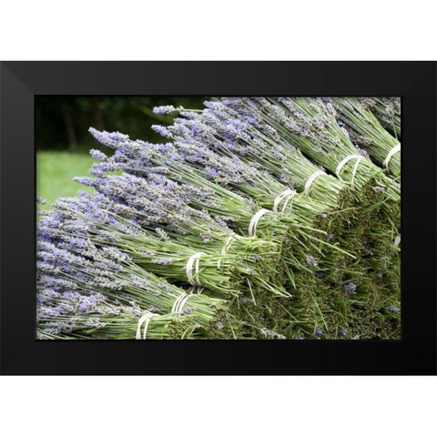 Lavender Bunches II Black Modern Wood Framed Art Print by Styber, Dana