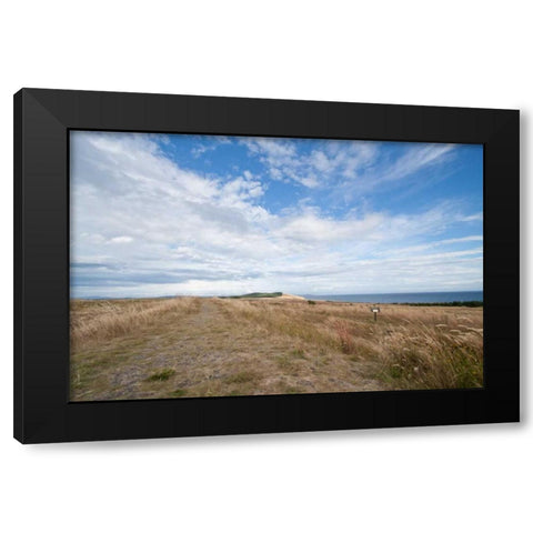 Bluff Path Black Modern Wood Framed Art Print by Styber, Dana