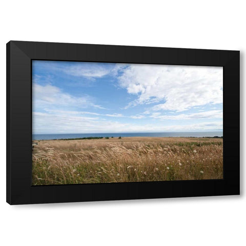 Bluff View Black Modern Wood Framed Art Print with Double Matting by Styber, Dana
