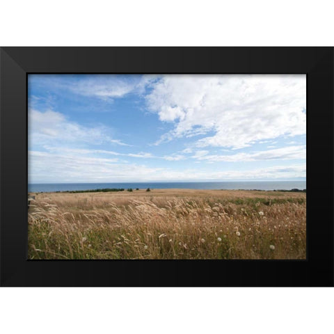 Bluff View Black Modern Wood Framed Art Print by Styber, Dana