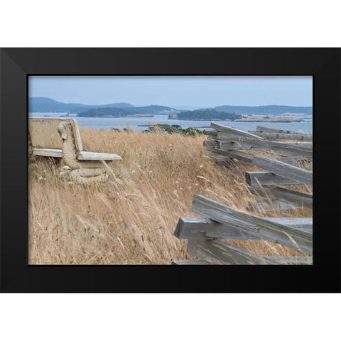 Grassy Knoll Black Modern Wood Framed Art Print by Styber, Dana