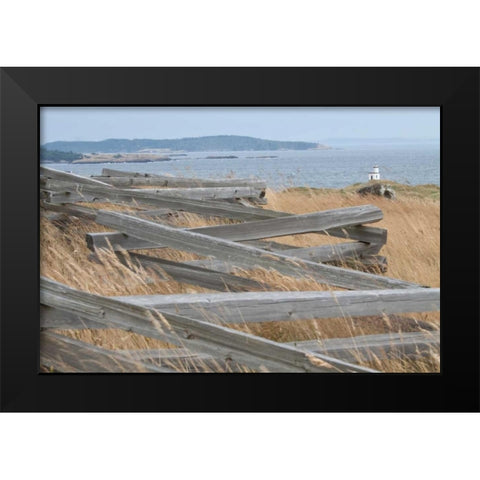 Lighthouse Path Black Modern Wood Framed Art Print by Styber, Dana