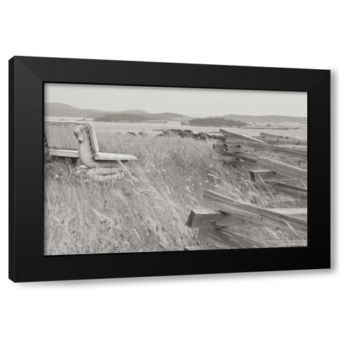 Grassy Knoll Black Modern Wood Framed Art Print by Styber, Dana