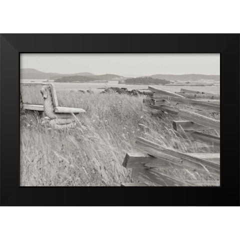 Grassy Knoll Black Modern Wood Framed Art Print by Styber, Dana