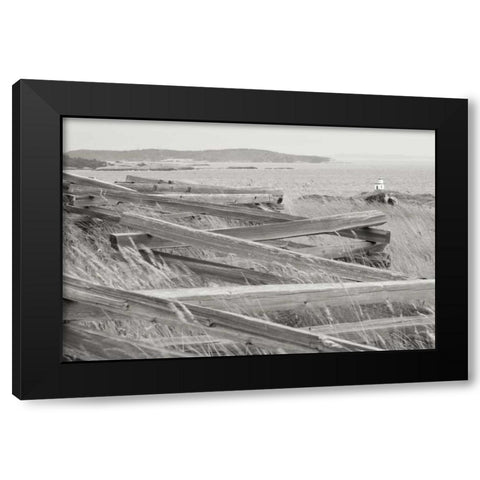 Lighthouse Path Black Modern Wood Framed Art Print with Double Matting by Styber, Dana