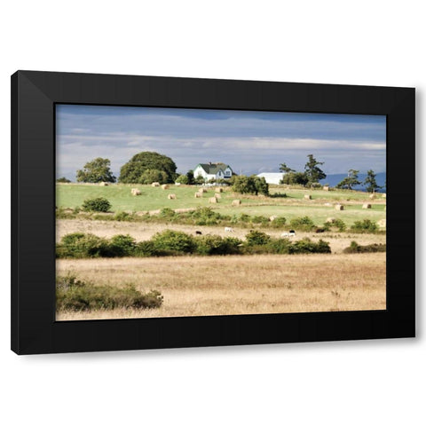 Hay Rolls I Black Modern Wood Framed Art Print by Styber, Dana