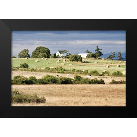Hay Rolls I Black Modern Wood Framed Art Print by Styber, Dana