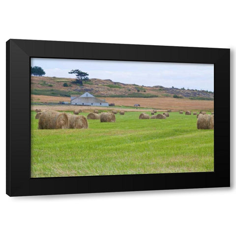 Hay Rolls II Black Modern Wood Framed Art Print by Styber, Dana