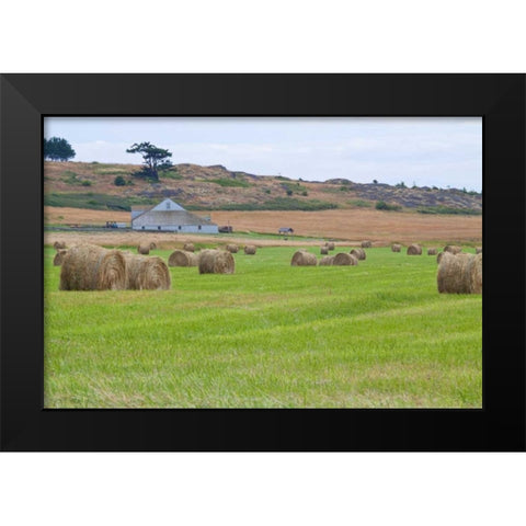 Hay Rolls II Black Modern Wood Framed Art Print by Styber, Dana