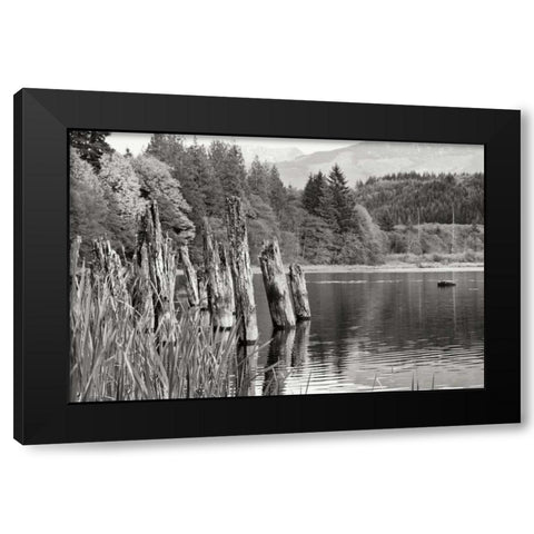 Baker Lake Pilings Black Modern Wood Framed Art Print by Styber, Dana