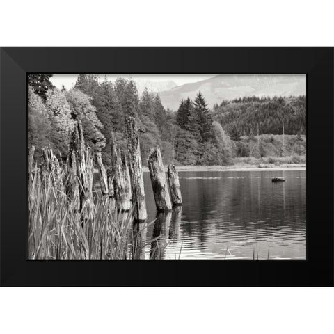 Baker Lake Pilings Black Modern Wood Framed Art Print by Styber, Dana