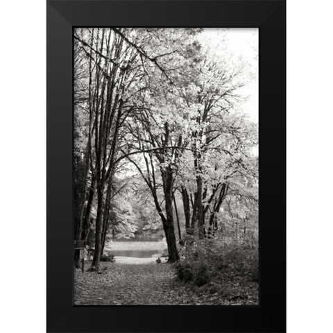 Baker Lake Trail I Black Modern Wood Framed Art Print by Styber, Dana