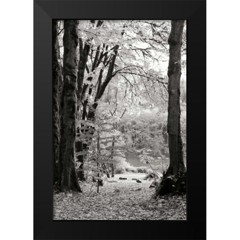 Baker Lake Trail II Black Modern Wood Framed Art Print by Styber, Dana