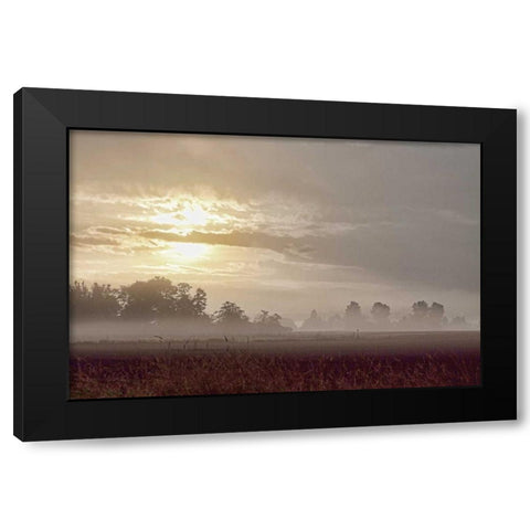 Foggy Morning I Black Modern Wood Framed Art Print by Styber, Dana