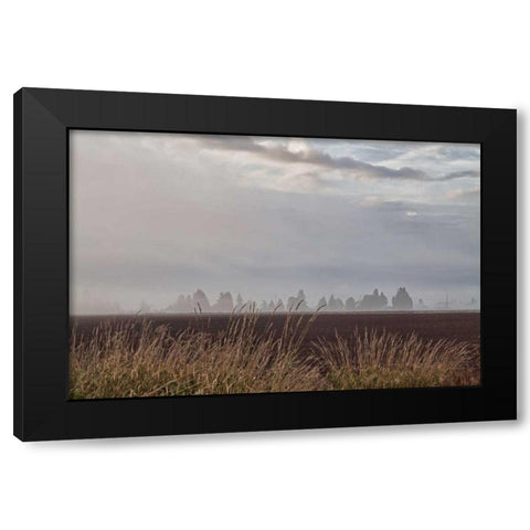 Foggy Morning II Black Modern Wood Framed Art Print with Double Matting by Styber, Dana