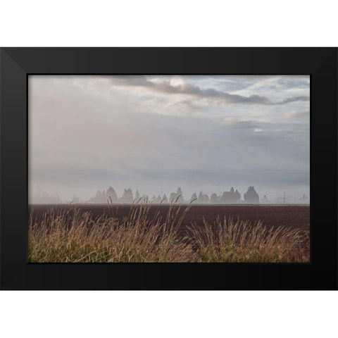 Foggy Morning II Black Modern Wood Framed Art Print by Styber, Dana