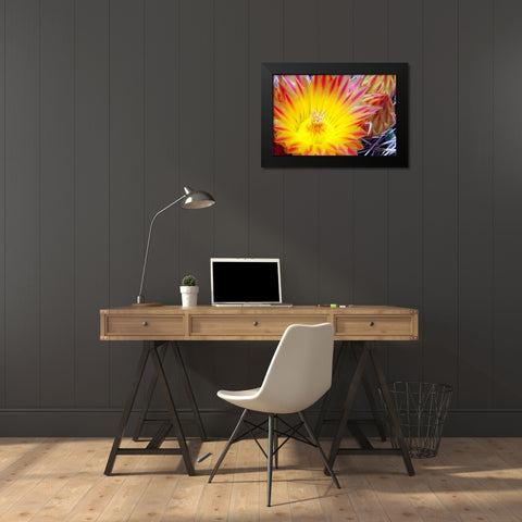 Cactus Flower I Black Modern Wood Framed Art Print by Taylor, Douglas