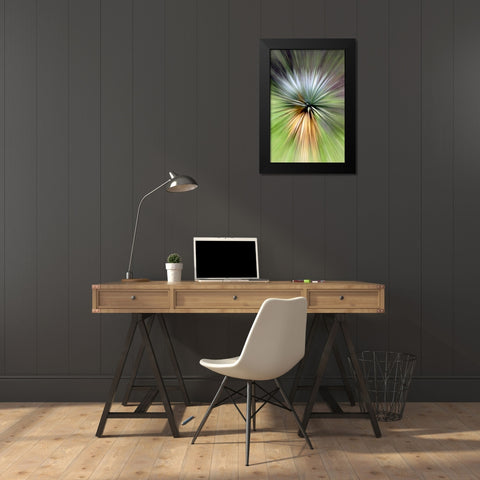Mountain Yucca Black Modern Wood Framed Art Print by Taylor, Douglas