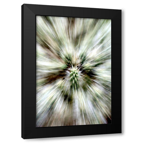 Cactus Spines Black Modern Wood Framed Art Print with Double Matting by Taylor, Douglas