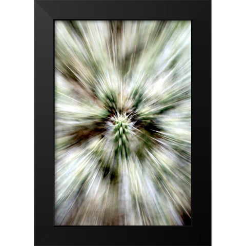 Cactus Spines Black Modern Wood Framed Art Print by Taylor, Douglas