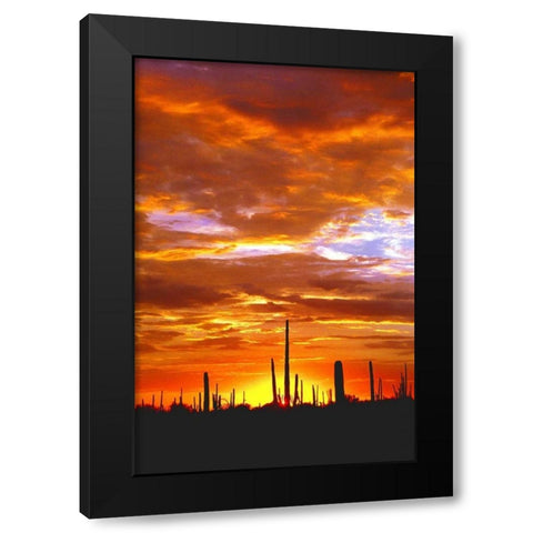 Sky a Fire I Black Modern Wood Framed Art Print by Taylor, Douglas