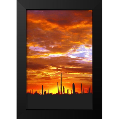 Sky a Fire I Black Modern Wood Framed Art Print by Taylor, Douglas