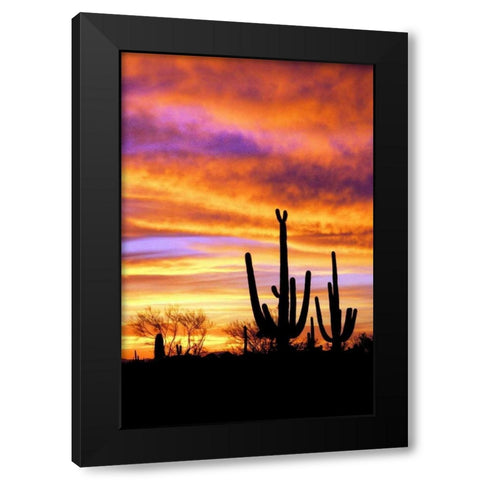 Sky a Fire II Black Modern Wood Framed Art Print by Taylor, Douglas