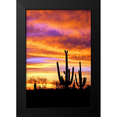 Sky a Fire II Black Modern Wood Framed Art Print by Taylor, Douglas