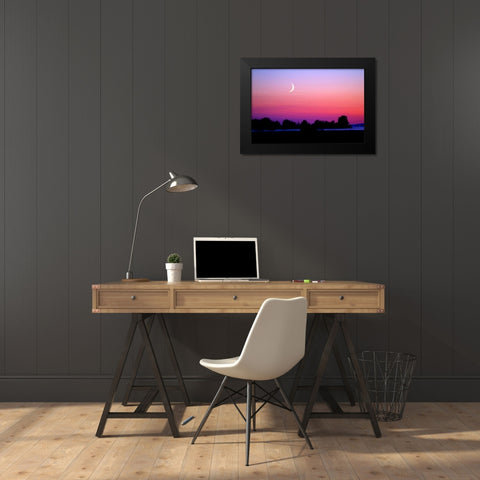 Crescent at Twilight Black Modern Wood Framed Art Print by Taylor, Douglas