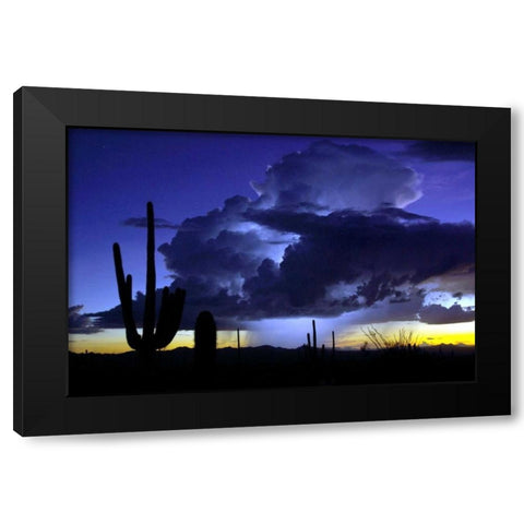 Blue Thunder Black Modern Wood Framed Art Print with Double Matting by Taylor, Douglas