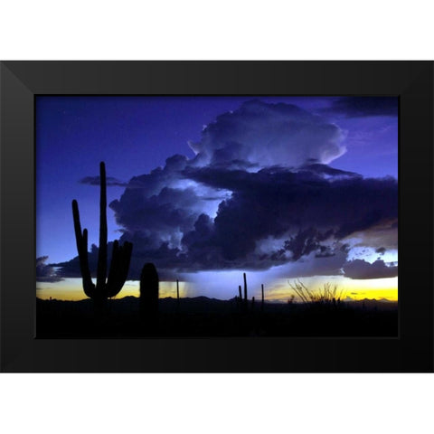 Blue Thunder Black Modern Wood Framed Art Print by Taylor, Douglas