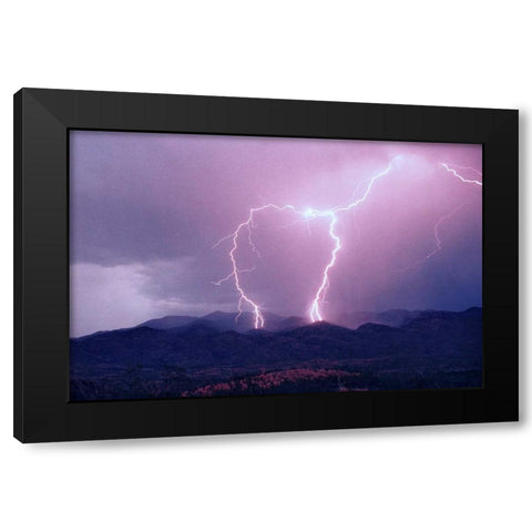 Striking Symmetry I Black Modern Wood Framed Art Print with Double Matting by Taylor, Douglas