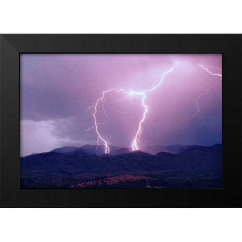 Striking Symmetry I Black Modern Wood Framed Art Print by Taylor, Douglas