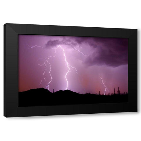 Striking Symmetry II Black Modern Wood Framed Art Print with Double Matting by Taylor, Douglas